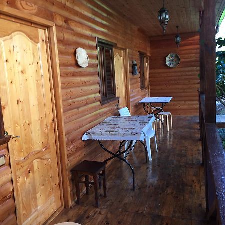 Guest House Nana Gagra Esterno foto