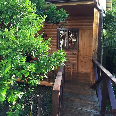 Guest House Nana Gagra Esterno foto