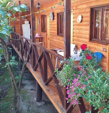 Guest House Nana Gagra Esterno foto