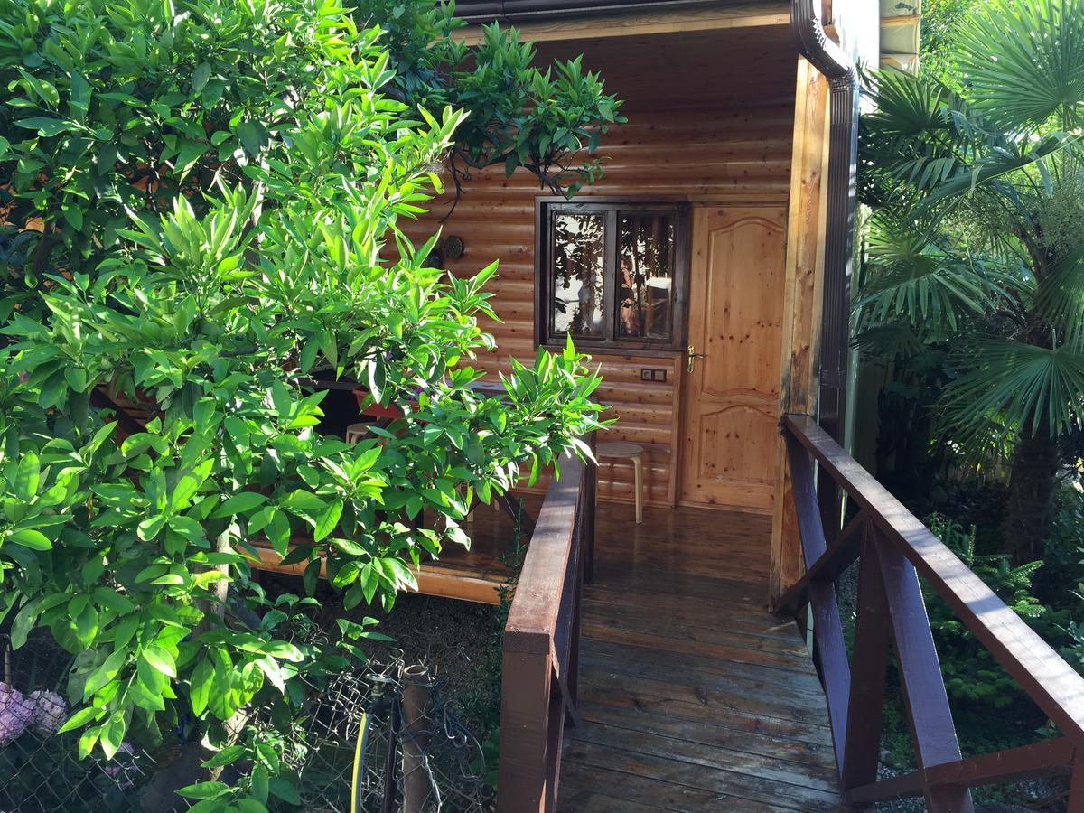Guest House Nana Gagra Esterno foto