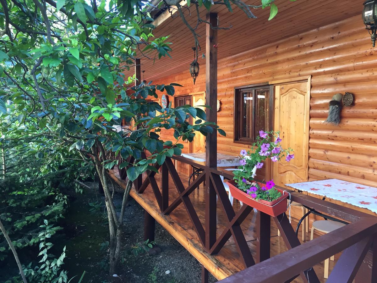 Guest House Nana Gagra Esterno foto