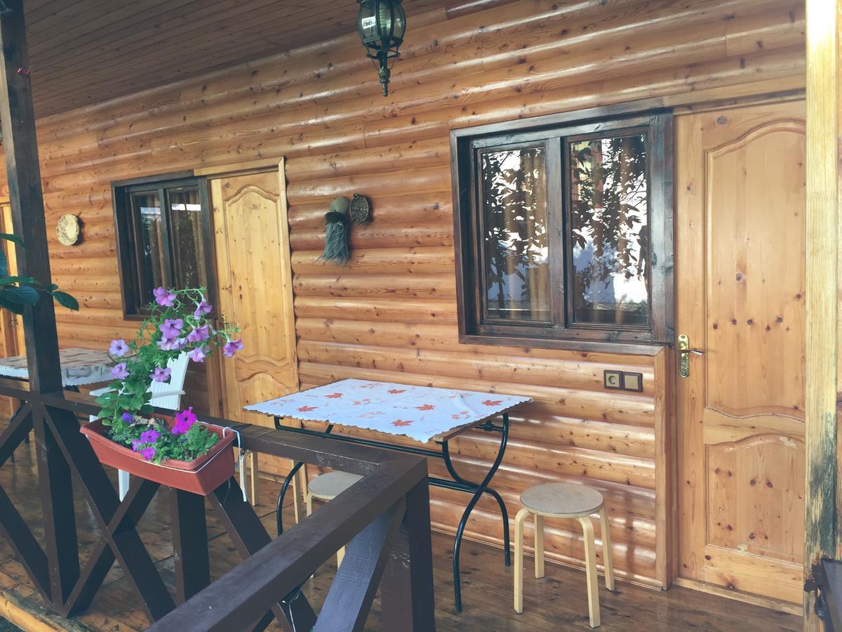 Guest House Nana Gagra Esterno foto