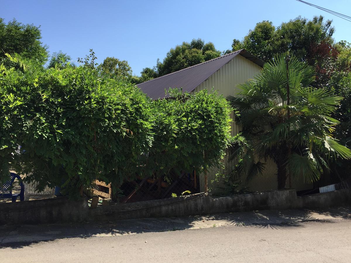 Guest House Nana Gagra Esterno foto