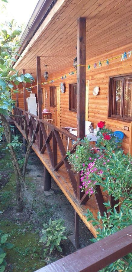 Guest House Nana Gagra Esterno foto